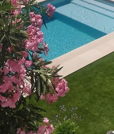 Logement Pres D'ajaccio Avec Piscine 別荘